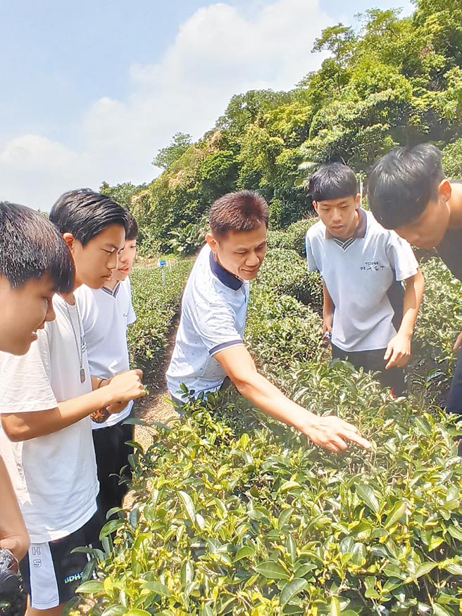北大高中「鸢山峡客」课程，带学生走访横溪茶园。（北大高中提供／蔡雯如新北传真）