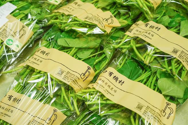 林口有机村强势进军林口三井，打造黄金品牌（林口区公所提供／戴上容新北传真）