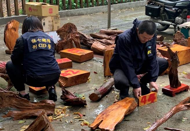 保七刑大在簡姓嫌犯住處起出699公斤的肖楠。（警方提供）