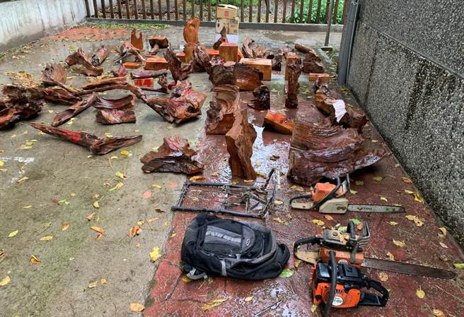 警方起出山老鼠犯案用的工具以及竊盜得來的珍貴林木。（警方提供）