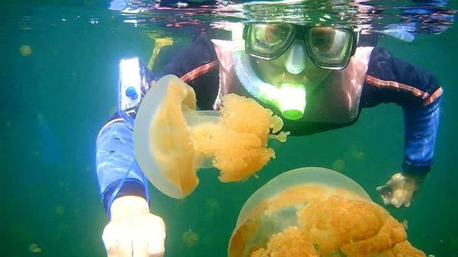 帛琉旅遊泡泡首發團即將出發，後續買氣不佳。（雄獅提供）