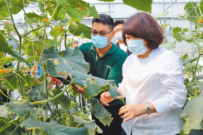 「好瓜造智慧農場」園主林楷堯（左）與友人組成團隊參加聯發科第3屆「智在家鄉」數位社會創新競賽獲百萬首獎，嘉義市長黃敏惠（右）特別前往參訪農場，肯定林楷堯是嘉義的驕傲。（嘉義市政府提供／呂妍庭嘉義傳真）