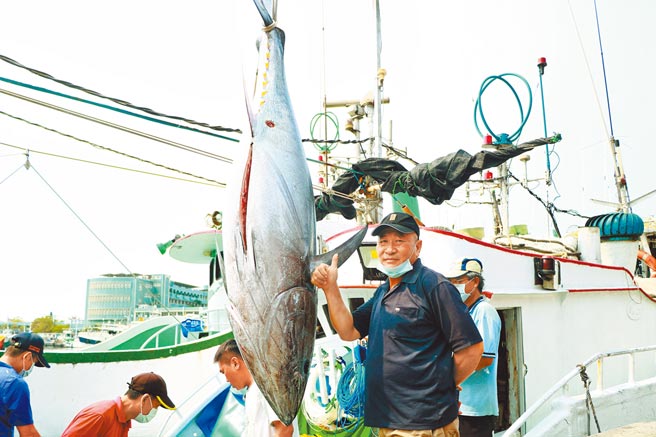 琉球籍「满吉财」渔船30日经东港渔会鑑定后，确定捕到今年第一鲔，船长黄明财（黑衣）既开心又惊讶。（谢佳潾摄）