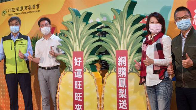 農委會今天表示，全台鳳梨年產量約42萬噸，其中大陸事件影響約4萬2000公噸，但鳳梨最大產季大約從清明節至6月底，希望民眾繼續支持台灣鳳梨。（林良齊攝）