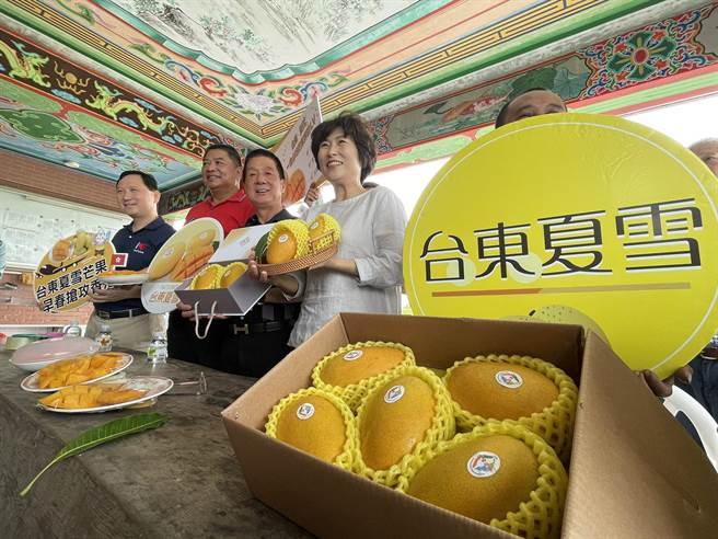 台东县政府1日于台东玉世宫前广场举办「台东夏雪芒果」行销记者会。（庄哲权摄）