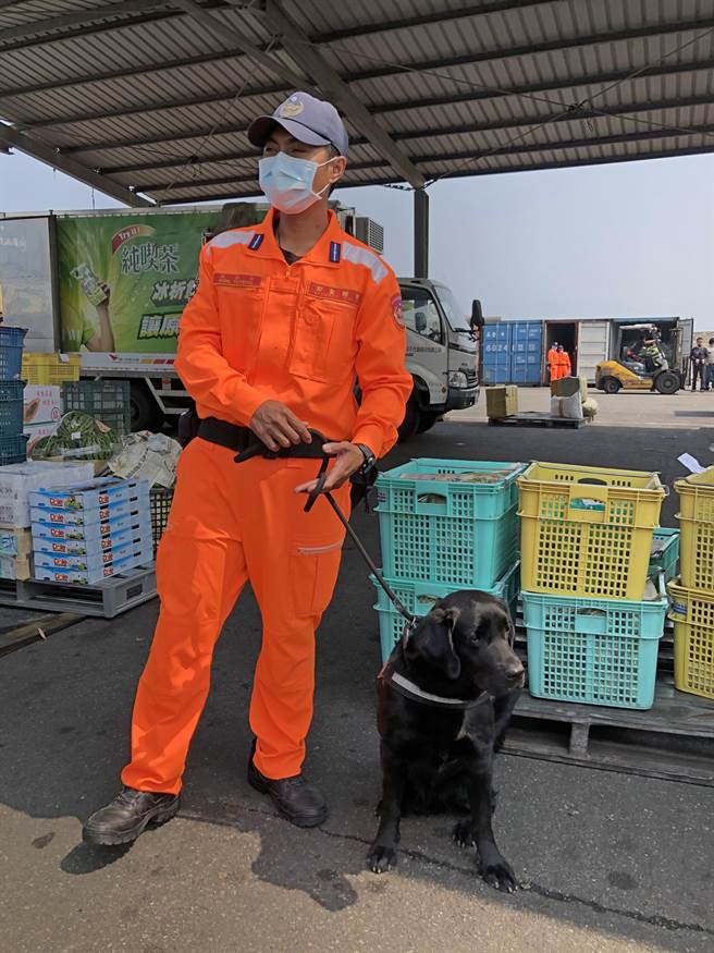 海巡偵搜犬區隊領犬員洪裕宗與「一哥」建立夥伴和友誼關係。（李金生攝）