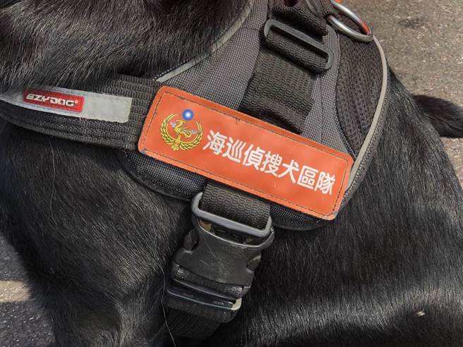 「海巡偵搜犬」橙紅色肩章，對「一哥」是一項榮譽的象徵。（李金生攝）
