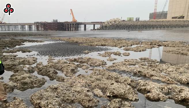 台湾民眾党2日公布的民调结果显示，有将近7成民眾认为，「花费较多时间和经费的中油第三天然气接收站替代方案」值得推动；但对于「因未建设中油第三天然气接收站，可能面临一年中的尖峰用电时段约会有200小时（约8天）的缺电风险」却有5成民眾表示无法接受。（报系资料照）