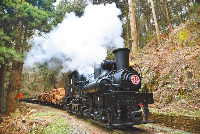 嘉义林管处与林铁及文资处合作以水山线铁道载运疏伐作业的柳杉，最后一次载送木材时附挂SL-31蒸汽火车头，重现过去林铁载运木材的经典画面。（林铁及文资处提供／张亦惠嘉县传真）