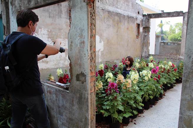 民眾在蜀葵花舖滿出小型花園拍照。（台中市港藝中心提供／王文吉台中傳真）