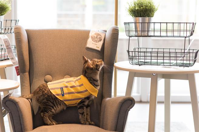 图二：IKEA持续提供永续居家生活的方案及产品，希望带给更多人启发，为社区关怀及环境保护贡献一己之力。（IKEA提供）