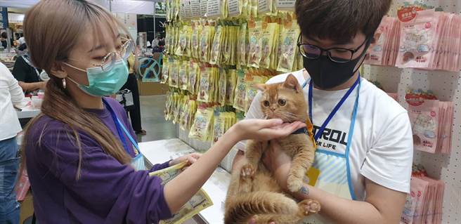 角落小夥伴，全台首次投入寵物用品成吸睛焦點。(戴志揚翻攝)