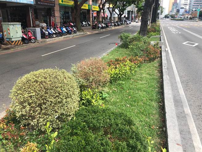 優化分隔島景觀，台灣大道漢口路至太原路段植栽美化。（台中市府提供／盧金足台中傳真）