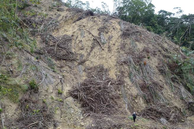 苗栗县山坡地占全县面积88％，若在林地整地除草、砍树等未经申请核准，苗栗县政府可依水土保持法及森林法分别开罚。（苗栗县政府提供／何冠娴苗栗传真）