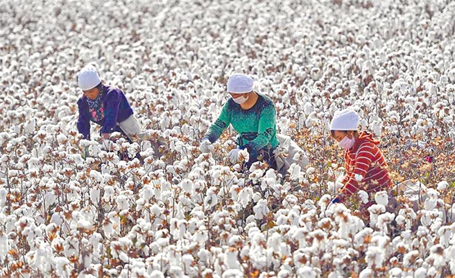 （圖／中新社）