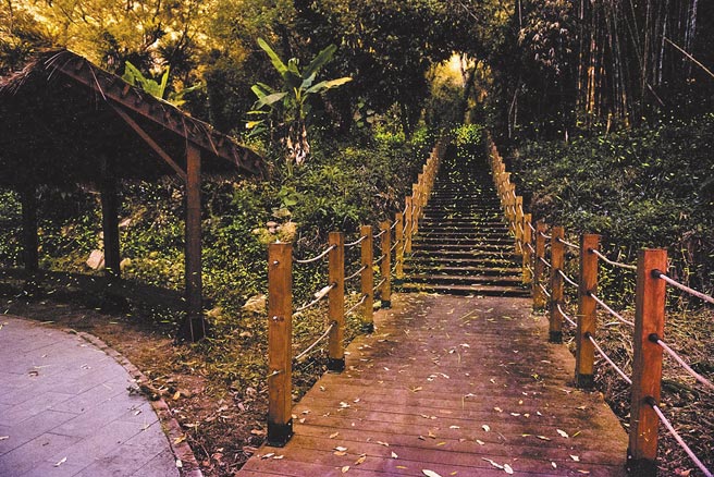 那玛夏赏萤步道萤光踪影，为夜晚揭开最浪漫的景象。（那玛夏区公所提供／林雅惠高雄传真）