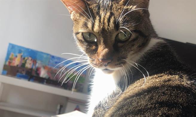 朱国珍》18岁「小壮丁」成长记之三十三（爱传媒提供）