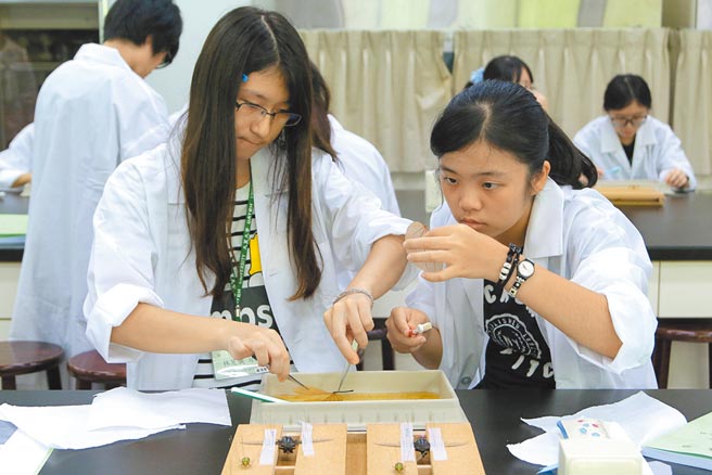 背景图片◎图／本报资料照片