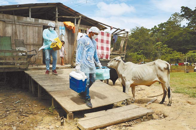 巴西热带雨林的一个亚马逊部落，仅存的唯一男性族人日前染疫不幸病故，成为世上第一个遭疫情灭绝的民族，图为巴西医护人员至偏乡劝居民接种疫苗。（美联社）