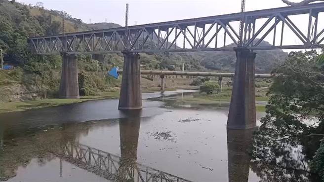 魚虎為外來品種，苗栗縣鯉魚潭近年被發現出現魚虎蹤跡，破壞水庫生態。（讀者提供／何冠嫻苗栗傳真）