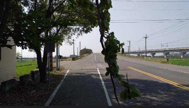 類似樹木垂墜容易影響行車安全。（台南市工務局提供／曹婷婷台南傳真）