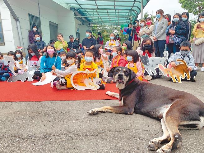 艺术家带领学童，把毛宝贝生命教育园区的招牌犬「大头」和收容动物当作模特儿，彩绘、拼贴园区的墙面。（王扬杰摄）