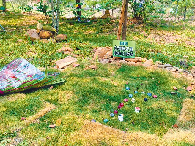 昨天適逢清明掃墓，嘉義縣中埔鄉先賢紀念園區樹葬區，有家屬用鮮花、玻璃珠、公仔等物品為先人布置家園。（張毓翎攝）
