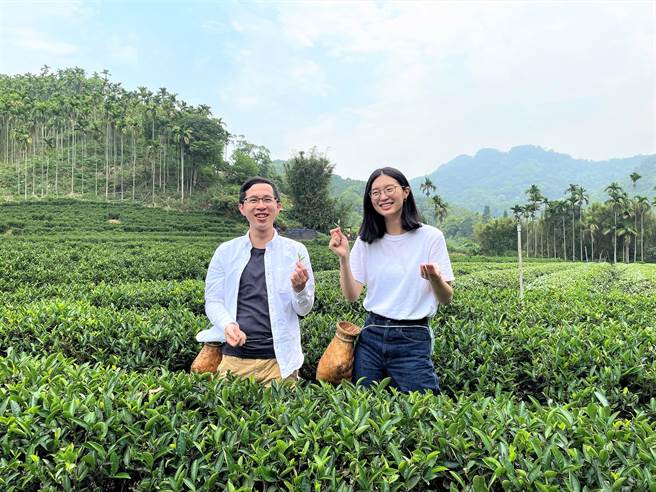 新北市立莺歌陶瓷博物馆与三莺文史工作者、茶行、陶艺家等合作，规画「三莺艺游行」，将带领民眾体验採茶、蓝染等三莺特色文化。（蔡雯如摄）