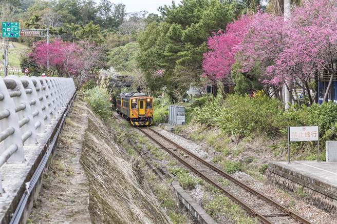 内湾支线去年应要完成2处「边坡全生命监测系统」，县府无法得知设置地点，只知将延后到2022年底才能完成。（罗浚滨摄）