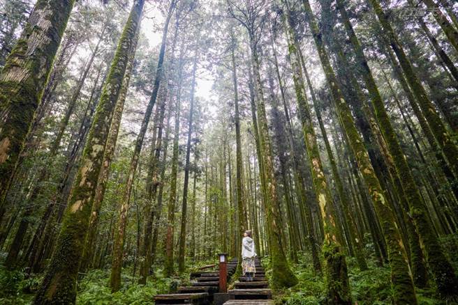 听过大自然声音后，接下来就是用六感一一品味自然之美。(图／行遍天下提供)