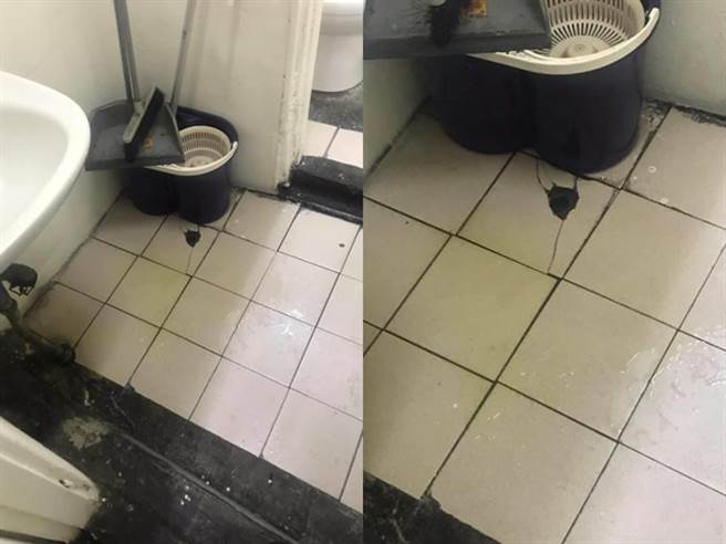 1名店家在网路上爆料，日前店里来了1位没耐心的客人，该客人因为不想要排队上厕所，竟直接厕间外头的洗手槽地板上尿起来。（图／翻摄自脸书「爆怨2公社」）