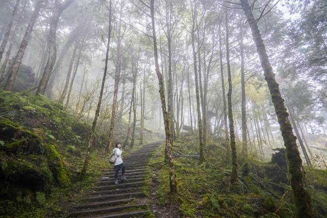 云雾带的缭绕常常一个转身就身处迷雾中。(图／行遍天下提供)
