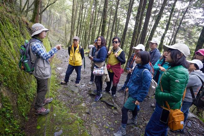 跟随老师的脚步，可以听到许多林间知识。(图／行遍天下提供)

