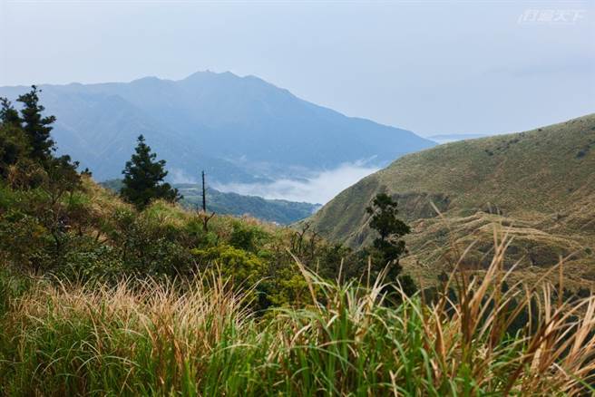 緩緩走在步道上體驗寧靜，視覺看著雲嵐隨風翻飛，聽覺則聽著草浪沙沙作響，打開五感聽自己心的聲音。(圖／行遍天下提供)