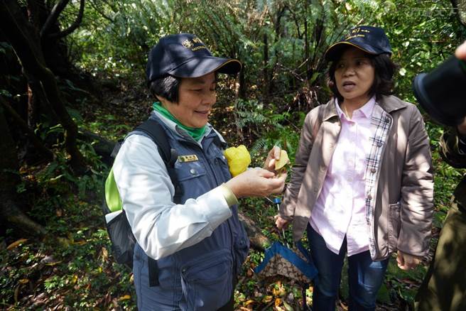 透過解說員引領專注體驗森林各處角落，嗅聞葉子的味道。(圖／行遍天下提供)