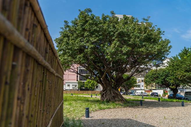 新竹市東大路與世界街口空地過去被鐵皮包圍，內部缺乏整理，雜草叢生、垃圾堆置，市府加改造，讓街口大變身，宛如日式庭院。（陳育賢攝）