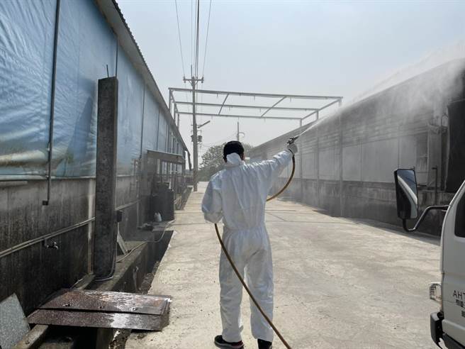 新北市漂流猪检出非洲猪瘟，嘉义县已全面警戒中，防疫视同作战。（嘉义县政府提供∕吕妍庭嘉义传真）