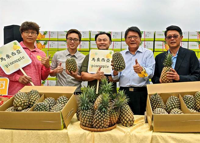 屏东县凤梨今年首销马来西亚，6日在屏东县南荔果生产合作社举行封柜。（潘建志摄）