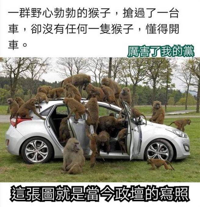 羅智強po群猴佔車照14字諷蔡政府1小時破萬按讚 政治 中時
