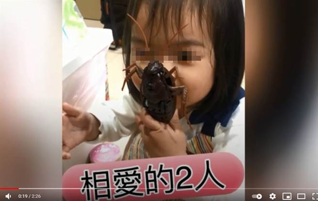 佩佩训练女儿从小玩蟑螂玩具。（图／YT@蔡佩佩）