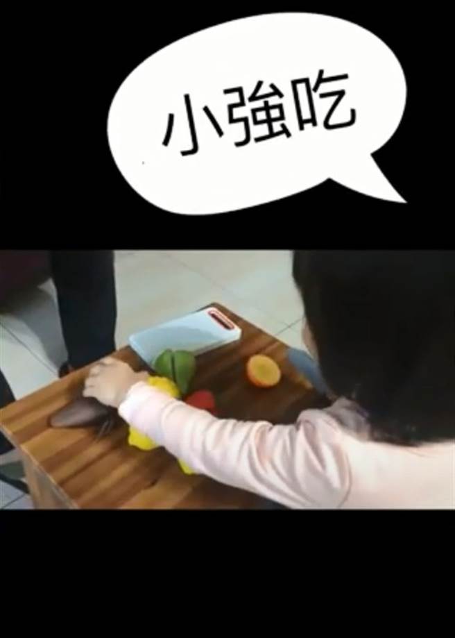 佩佩的女儿很爱玩蟑螂玩具。（图／YT@蔡佩佩）