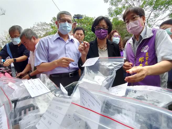 彰化县长王惠美(右2)与彰化县政府农业处长邱奕志(右)、社头农会总干事萧浚二今到社头乡一处荔枝园，释放96万平腹小蜂，来降低对花、蜂群等伤害，对抗荔枝椿象。(吴建辉摄)