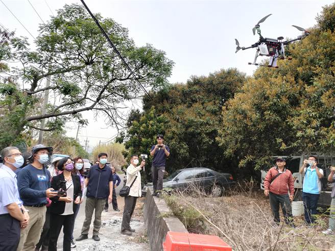 县府积极执行「灭虫计画」，包括收购卵片、物理、化学等生物防治多管齐下，但近日将迎来开花期，彰化县政府改以生物防治，以空投的方式，释放96万平腹小蜂，来降低对花、蜂群等伤害，对抗荔枝椿象。(吴建辉摄)