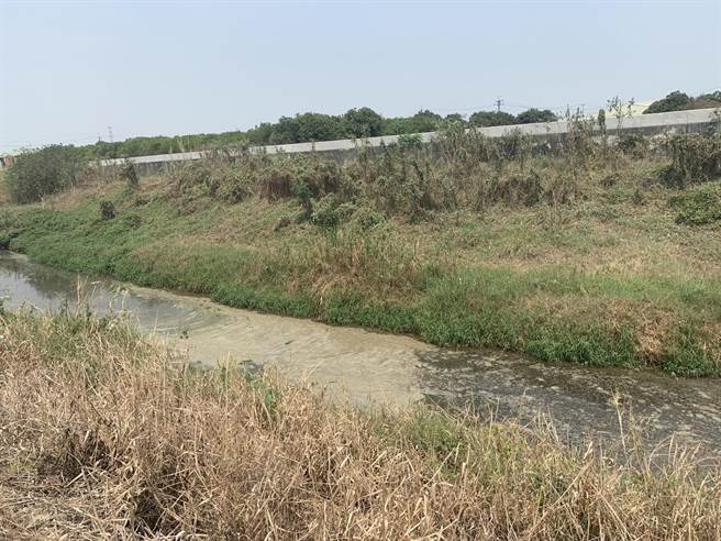 近日民眾陳情，台南柳營區龜仔港大排周遭畜牧場未妥善處理牛糞汙染。(台南市農業局提供／劉秀芬台南傳真)