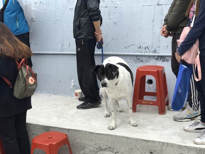 家中饲养的忠狗小掰也到场参加，据了解，牠得知不幸消息时，流下眼泪，令人不舍。（陈彩玲摄）