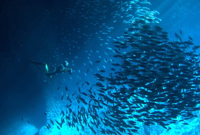 《男人与他的海》用大银幕带大家看见绝美的海洋景色。（牵猴子提供）