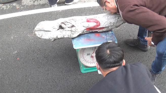 苗栗縣警刑大科偵隊及三義分駐所員警，在三義鄉某處木雕工作室查獲非法取得的國有珍貴林木。（苗栗縣警局刑大提供／謝明俊苗栗傳真）