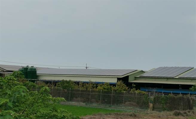 台南市农业局推广畜牧场搭建太阳能板，可有效隔绝日照，并提供额外收益。（刘秀芬摄）