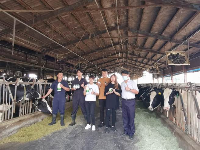 台南市佳里区禾香牧场牛舍屋顶装设太阳能光电板，屋顶有专人维护，农场主可专心经营管理事业。（刘秀芬摄）