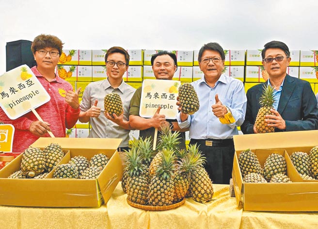 屏東縣鳳梨今年首銷馬來西亞，6日在屏東縣南荔果生產合作社舉行封櫃。（潘建志攝）